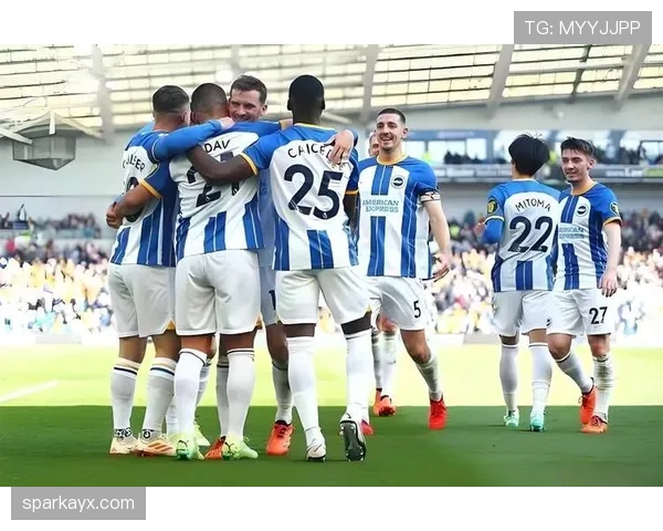 埃弗顿控球能力显著提升，助力球队竞争力突破新高