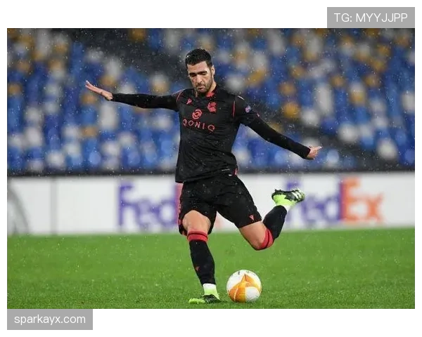 梅里诺攻防能力