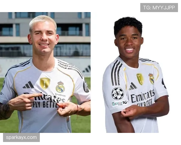 恩德里克技术细节解析