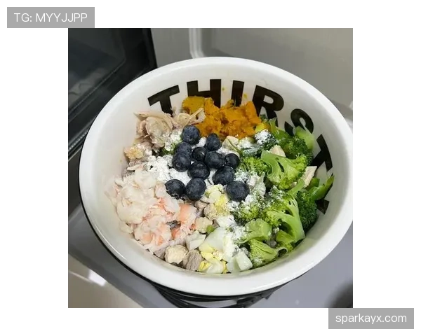 贝林厄姆家冰箱里塞满蛋白粉，连狗粮都是定制的